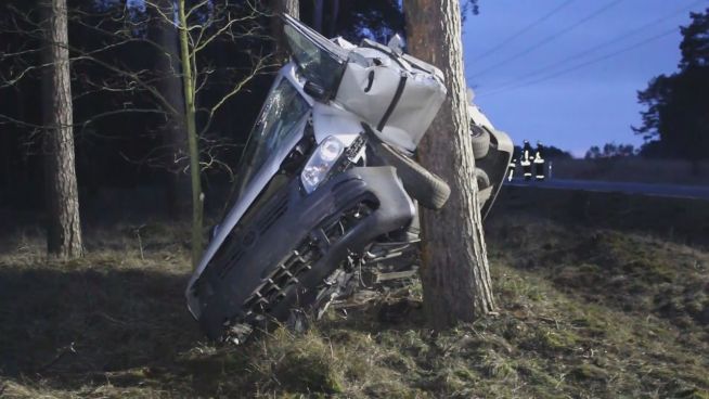 In 8 Metern Höhe: Auto prallt gegen Baum