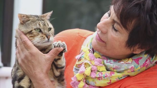 Ganz große Tierliebe: Die 80 Miezen der Katzen-Lady